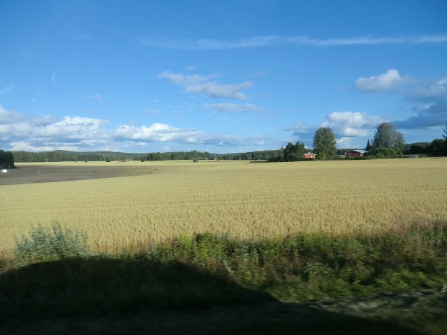 CIMG0515